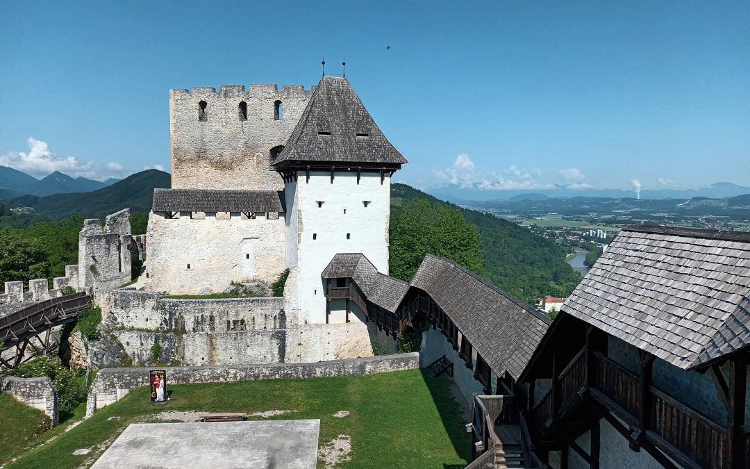 Ekskurzija v Celje, knežje mesto