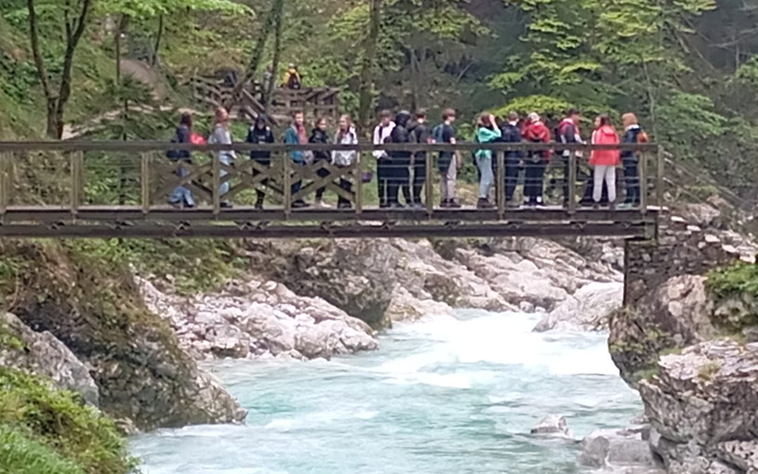 Tabor prve pomoči – CŠOD Soča, Tolmin